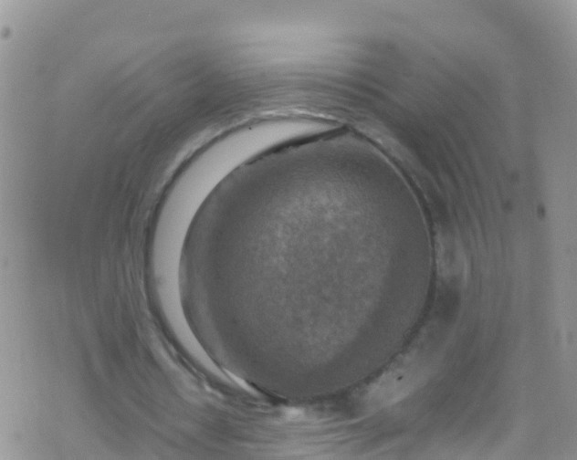 X0000069410434200605192308