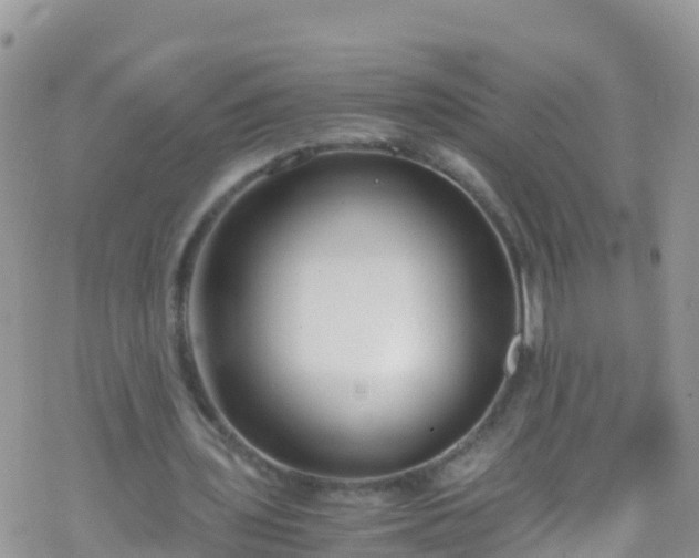 X0000069410435200605192308