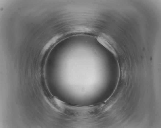 X0000069410436200605192308