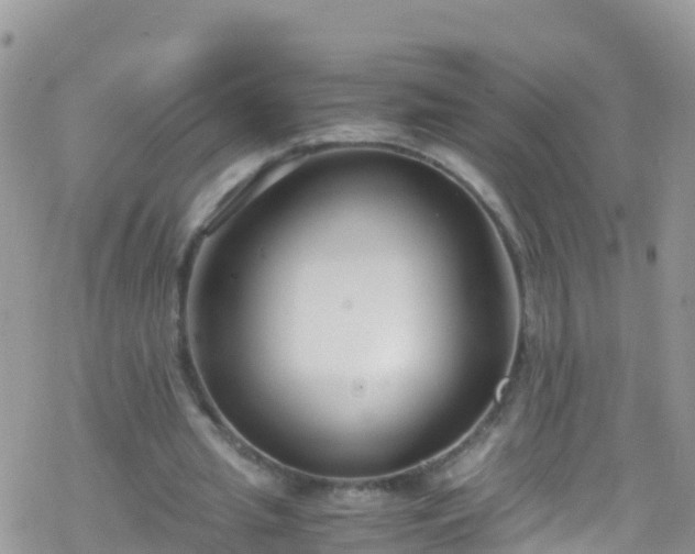 X0000069410437200605192308