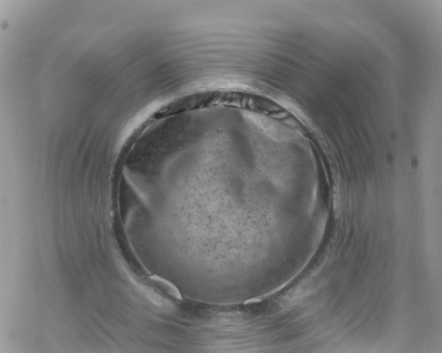 X0000069410438200605192308