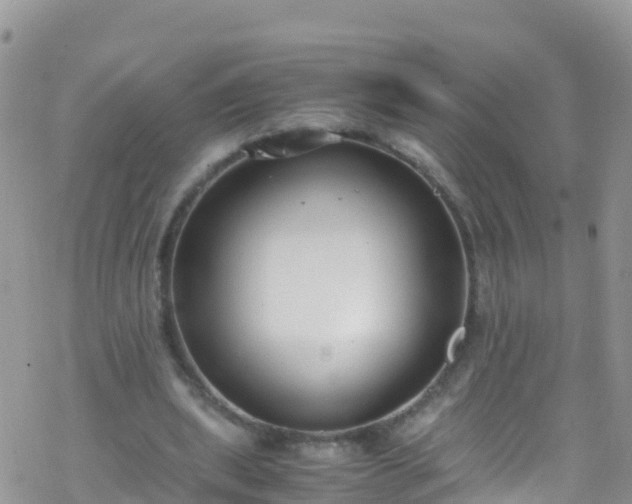 X0000069410439200605192308