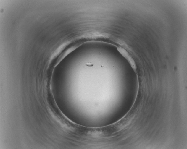 X0000069410440200605192308