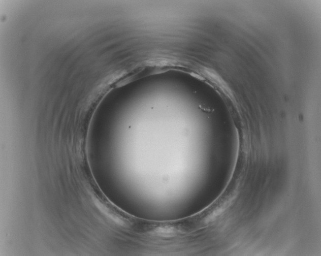 X0000069410441200605192308