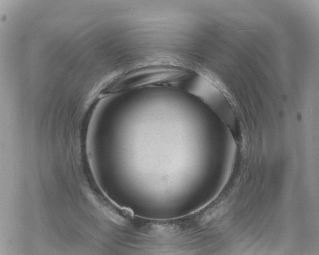 X0000069410442200605192308