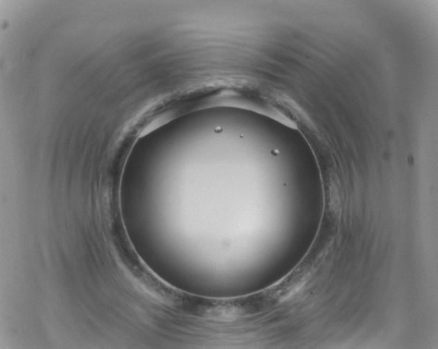 X0000069410444200605192308