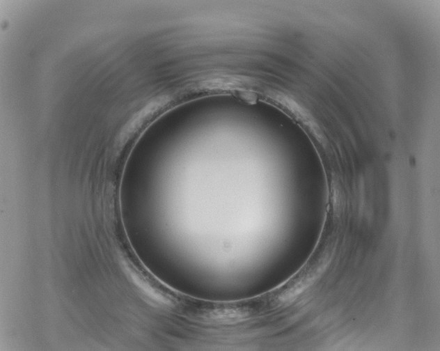 X0000069410445200605192308