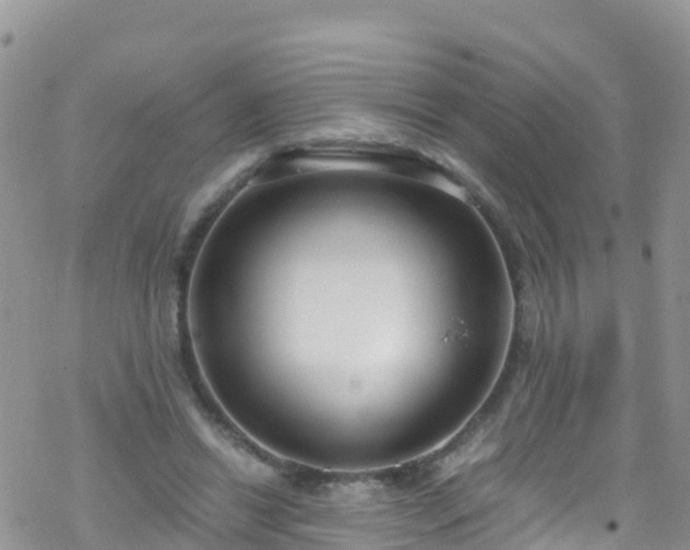 X0000069410446200605192308