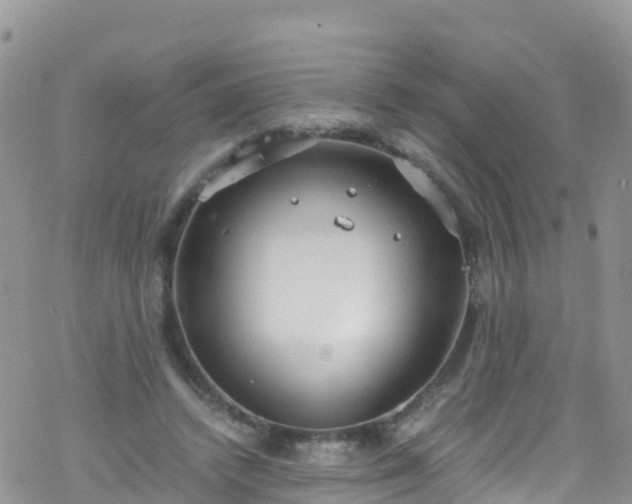 X0000069410448200605192308