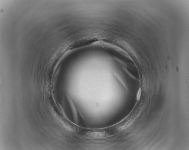 X0000069410449200605192308