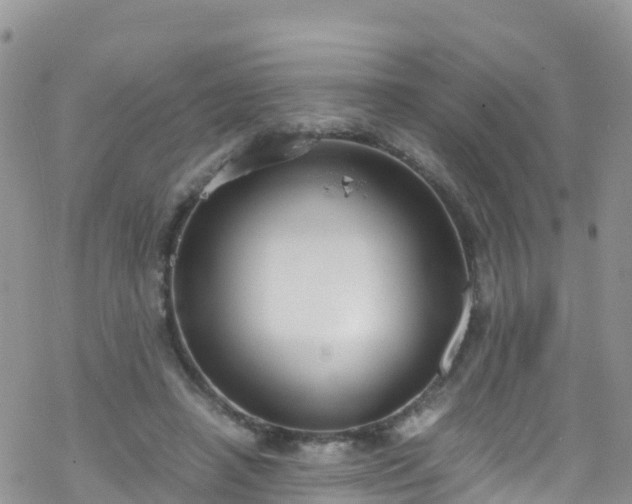 X0000069410450200605192308