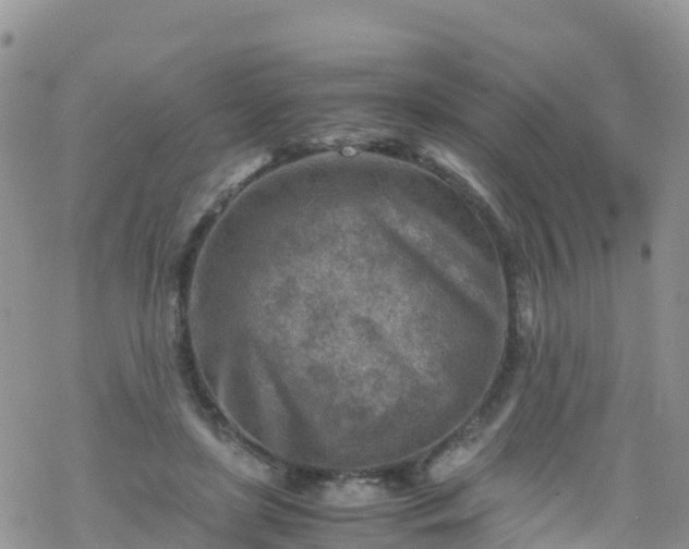 X0000069410451200605192308