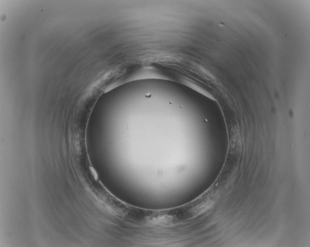 X0000069410452200605192308