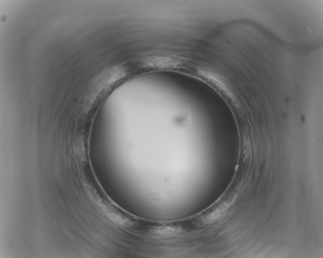 X0000069410453200605192308