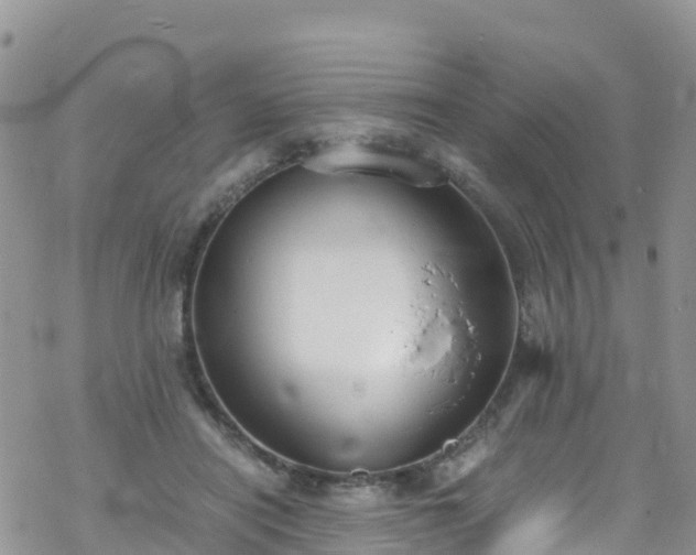 X0000069410454200605192308