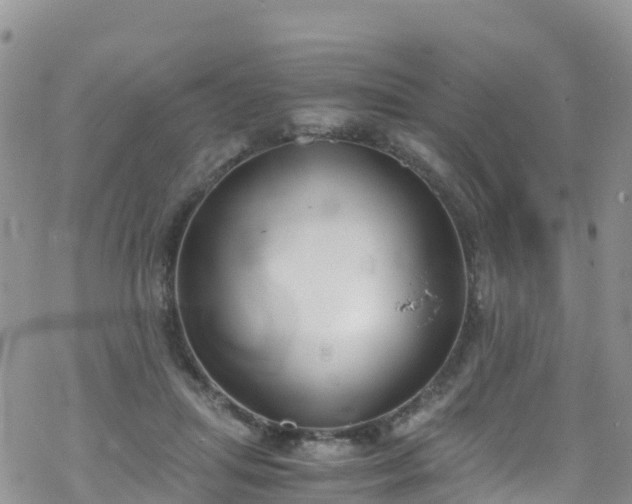 X0000069410455200605192308