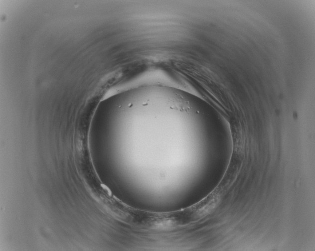 X0000069410456200605192308