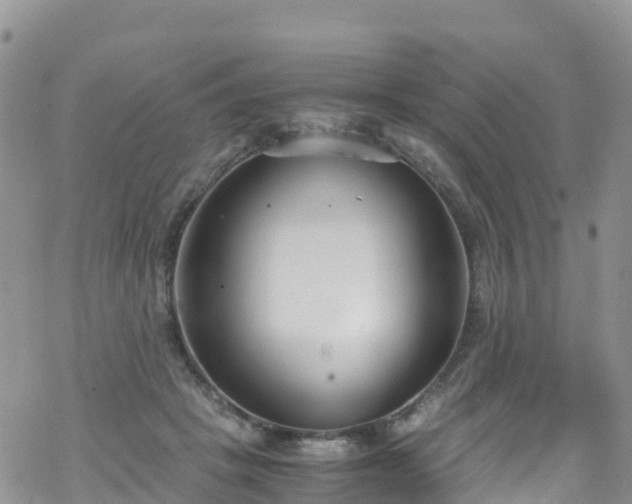 X0000069410457200605192308