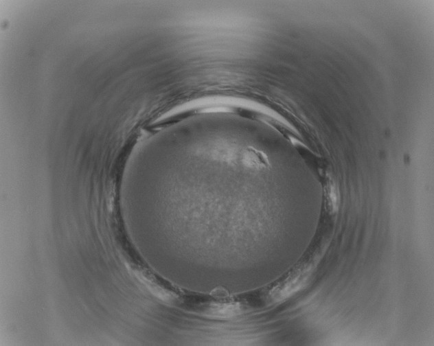 X0000069410458200605192308