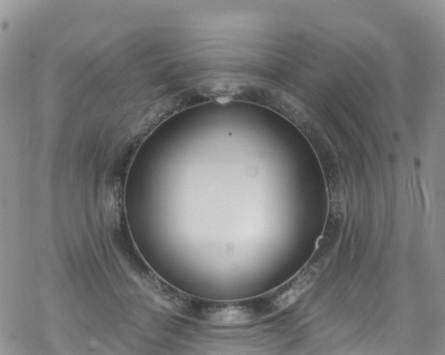 X0000069410460200605192308