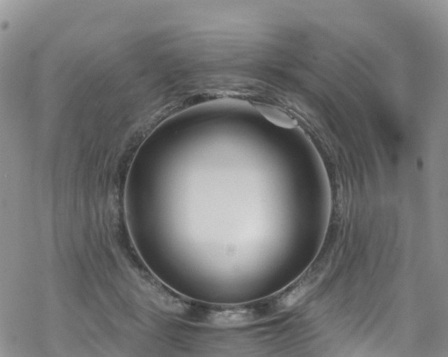 X0000069410461200605192308