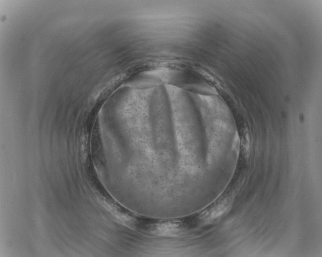 X0000069410462200605192308