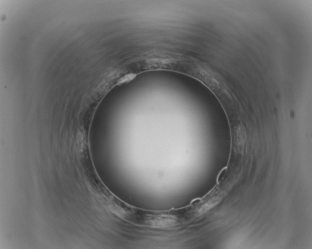 X0000069410463200605192308