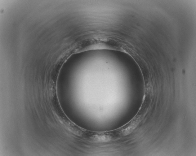 X0000069410464200605192308