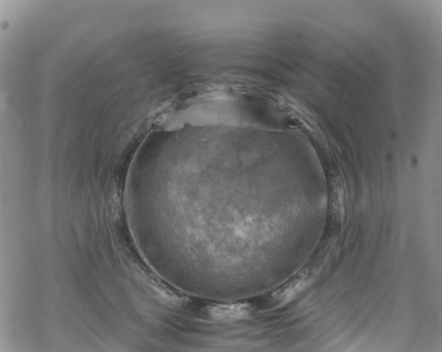 X0000069410465200605192308