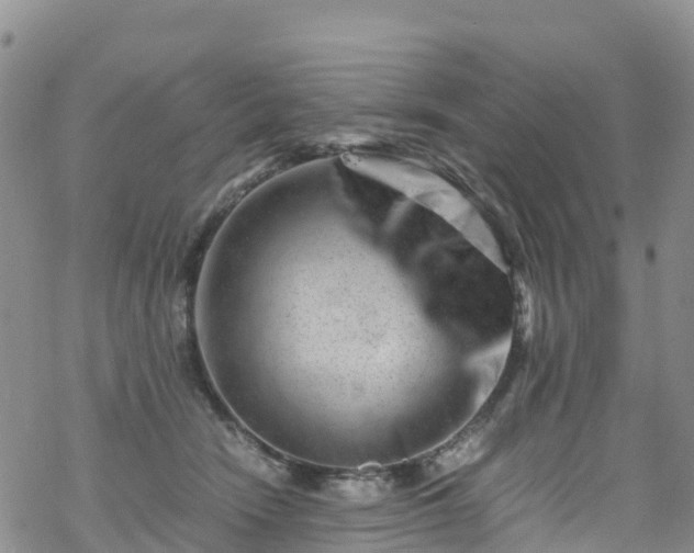 X0000069410466200605192308