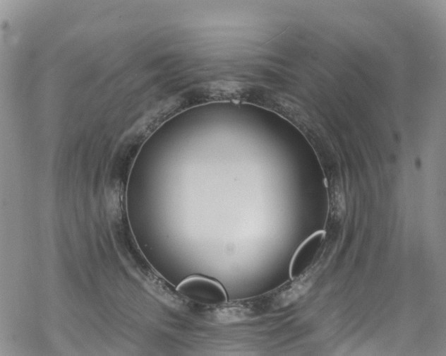 X0000069410468200605192308