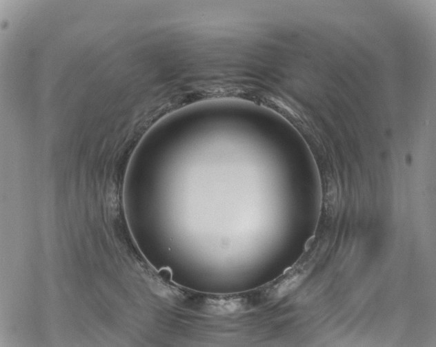 X0000069410469200605192308