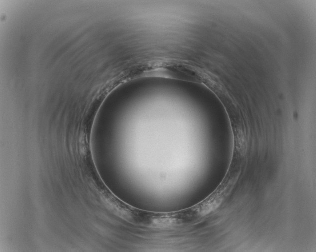 X0000069410470200605192308