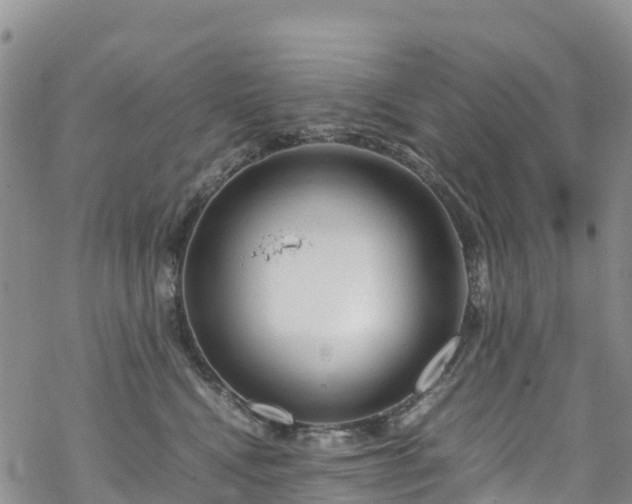 X0000069410472200605192308