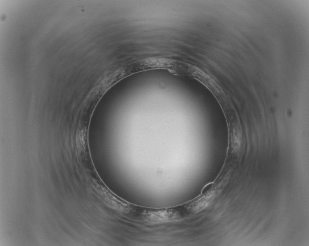 X0000069410473200605192308