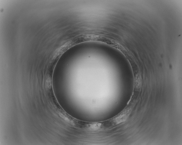 X0000069410474200605192308