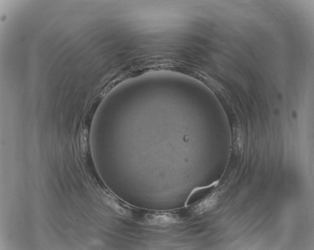 X0000069410475200605192308