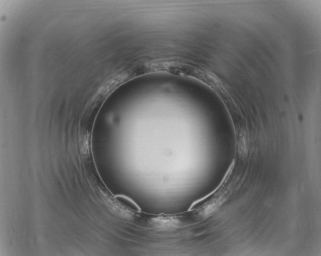 X0000069410477200605192308