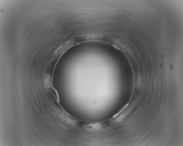 X0000069410478200605192308