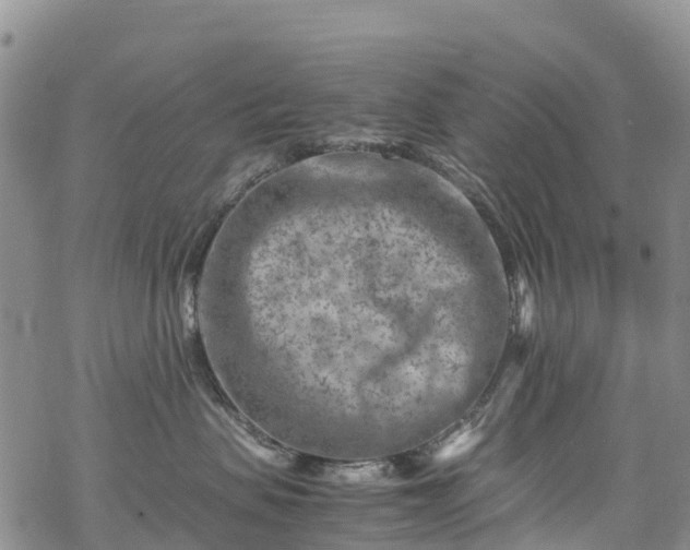 X0000069410479200605192308