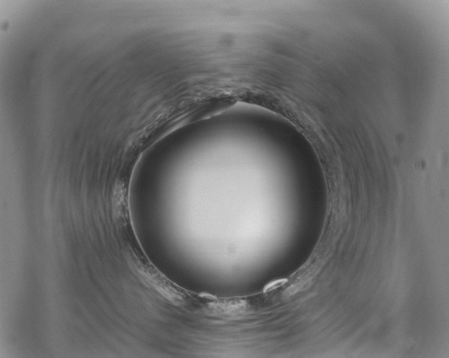 X0000069410480200605192308