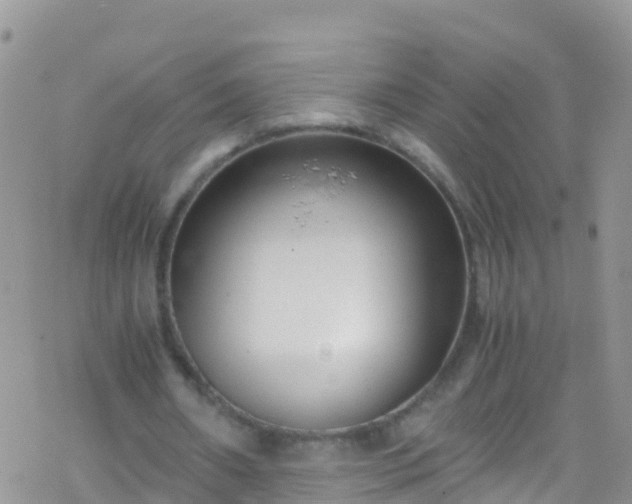 X0000069410482200605192308