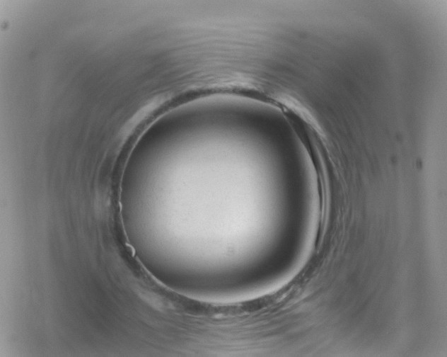 X0000069410483200605192308