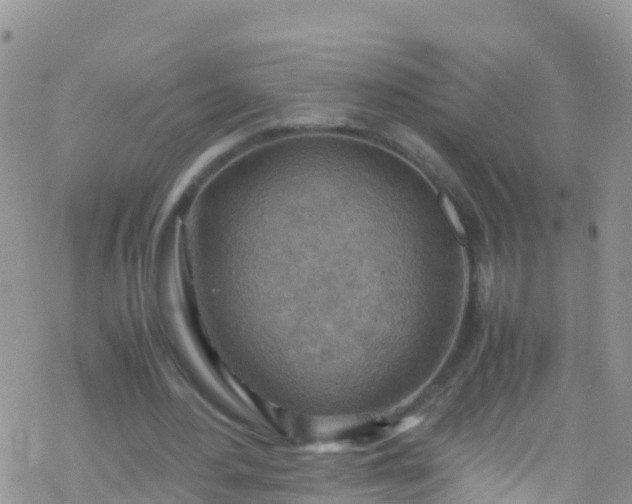 X0000069410484200605192308