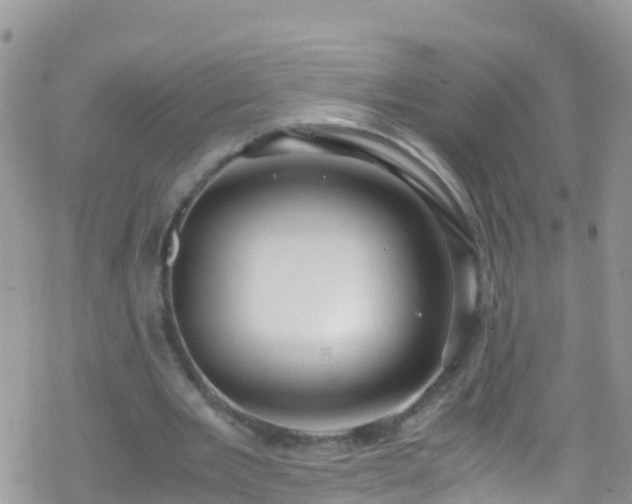 X0000069410485200605192308