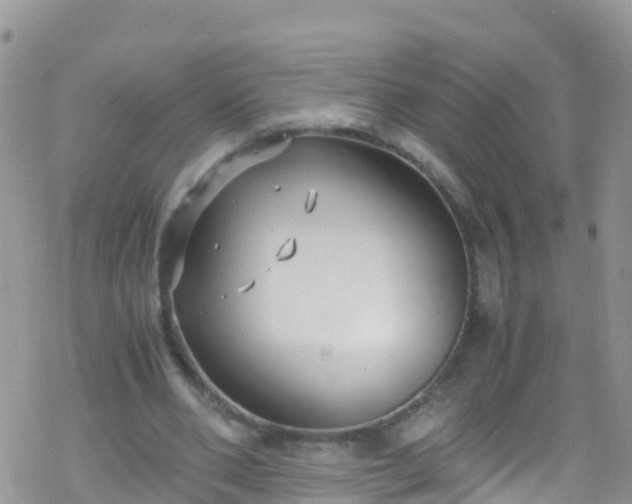 X0000069410486200605192308