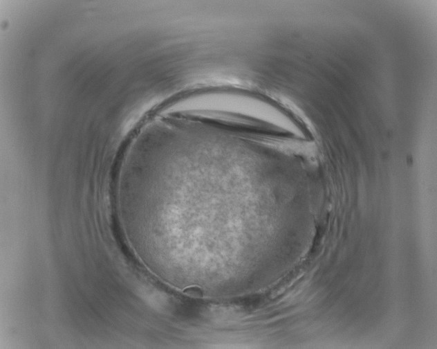 X0000069410487200605192308