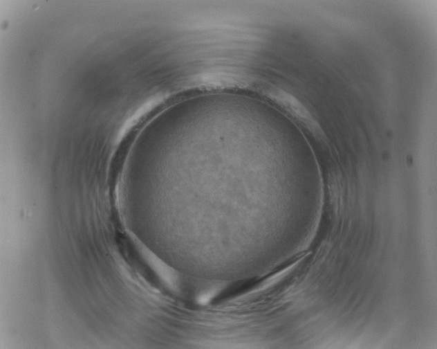 X0000069410488200605192307