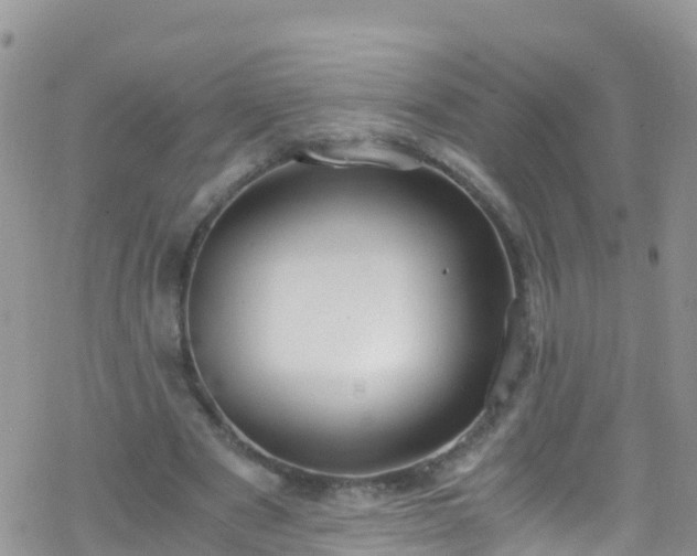 X0000069410489200605192307