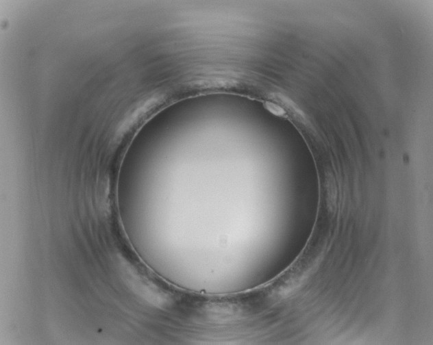 X0000069410490200605192307